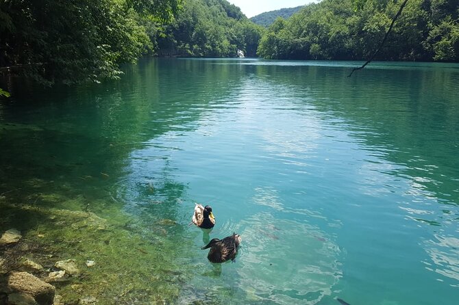 Plitvice Lakes Small Group Tour Ecco from Split or Trogir - Key Points That Matter Before You Go