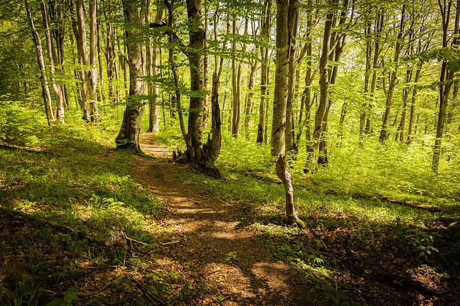 Plitvice Lakes Tour from Split with Entrance Ticket included - Getting From Split to Plitvice Lakes Without a Headache
