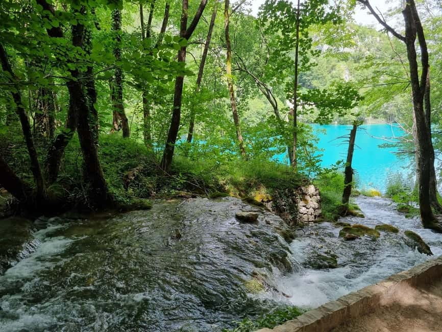 Plitvice: Plitvice Lakes Guided Tour with Boat Ride - What your guide teaches: geology, history, and wildlife you can notice