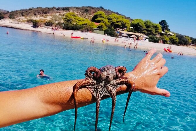 Private Blue Cave Tour from Split, Brač, Trogir and Hvar - The Blue Cave Stop: The Color, the Boats, and the Extra Ticket Reality