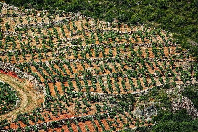 Private Boat Tour from Dubrovnik to Elaphiti Islands - Sipan Island Sudurad or Green Cave: The “Last Island” Choice