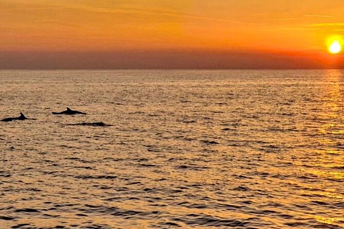 Private Boat Tour with activities in Pula Croatia - The comfort and drinks factor: bathroom, refreshments, and a reality check