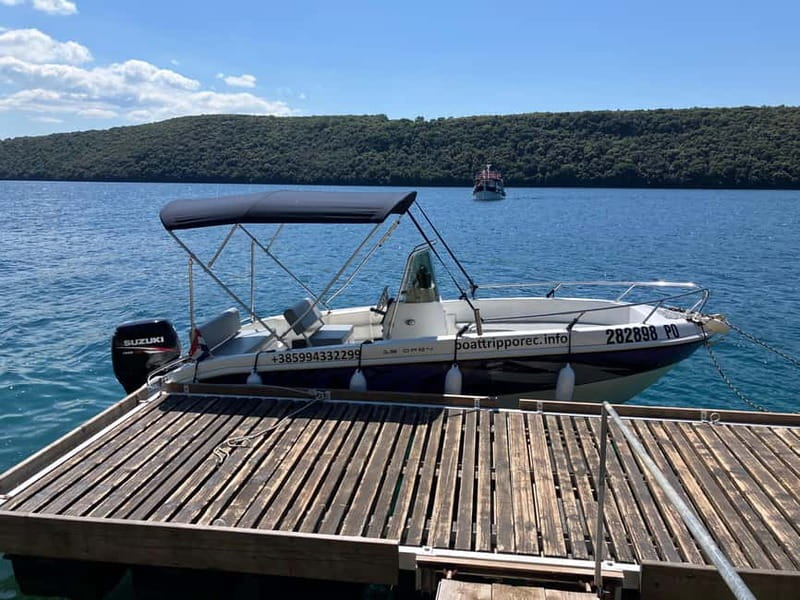 Private boat trips in Porec: dolphin watching, panoramic views - Entering the Poreč Harbor: Where This Trip Starts