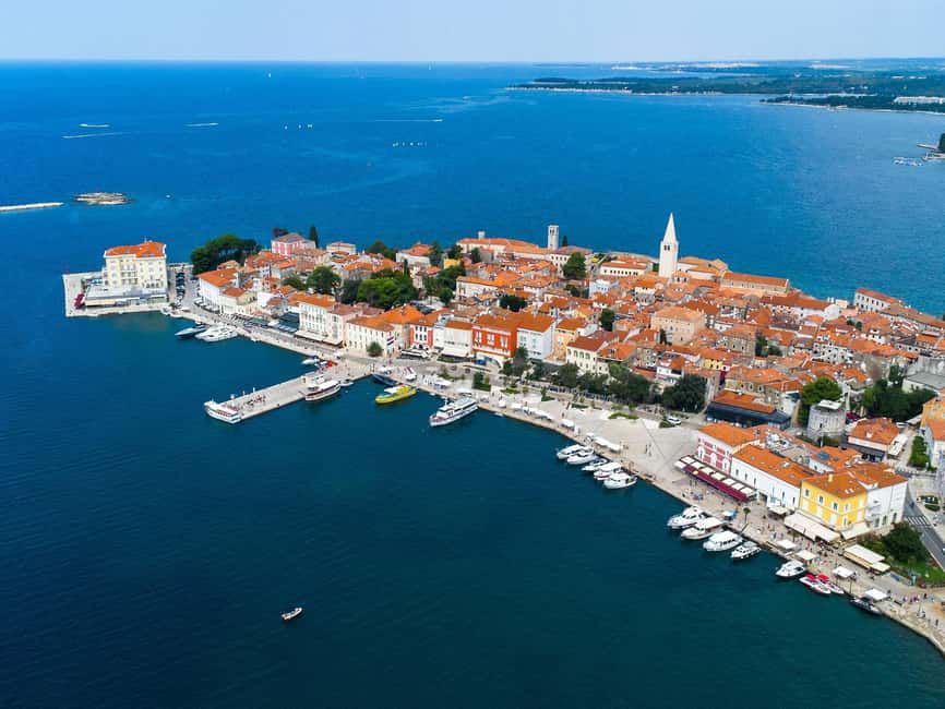 Private boat trips in Porec: dolphin watching, panoramic views - Meet Your Skipper: Why the Human Factor Matters