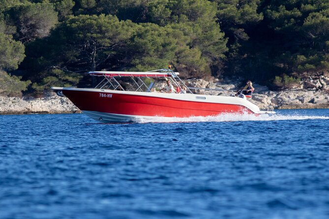 Private Custom Island Hopping Speedboat Tour from Hvar - Budikovac Blue Lagoon: a full 1-hour swim and snorkeling window