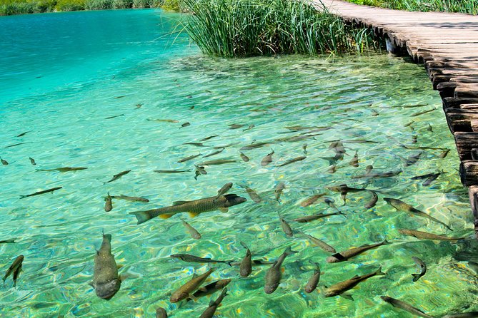Private experience of Rastoke and Plitvice Lakes from Zagreb - Rastoke and Plitvice as a single-day combo: what works