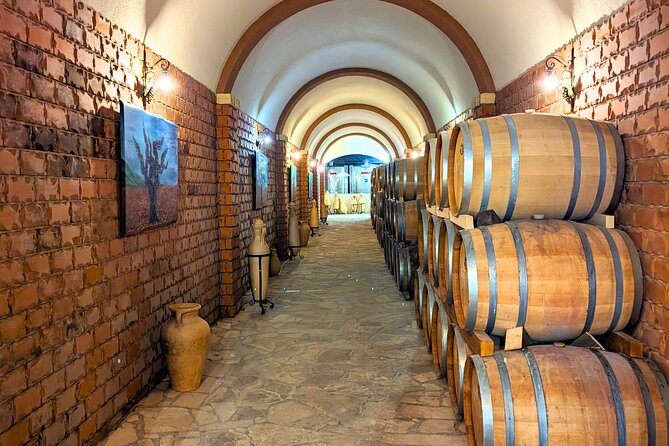 Private Full Day Peljesac Wine Tasting Tour from Dubrovnik - Food options on the peninsula: lunch and oysters at your expense