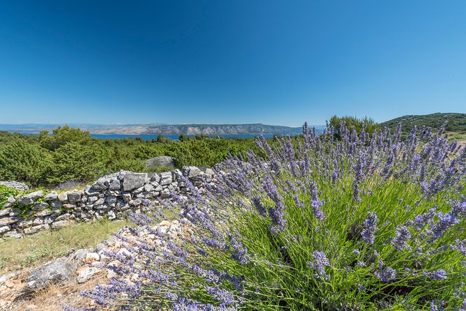 Private Hvar Wine Tasting Tour - Jelsa and Dubokovic Winery: candlelit tasting in a family cellar
