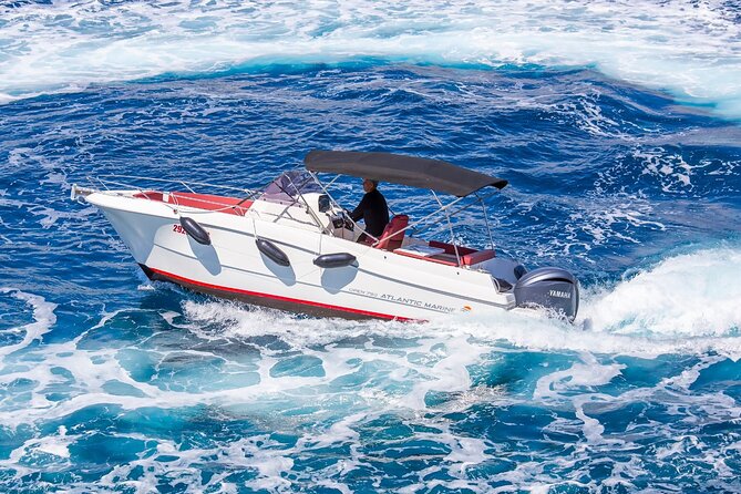 Private Speedboat Tour to Elafiti Islands - Private Atlantic Marine 750: Fast, Close, and Actually Fun