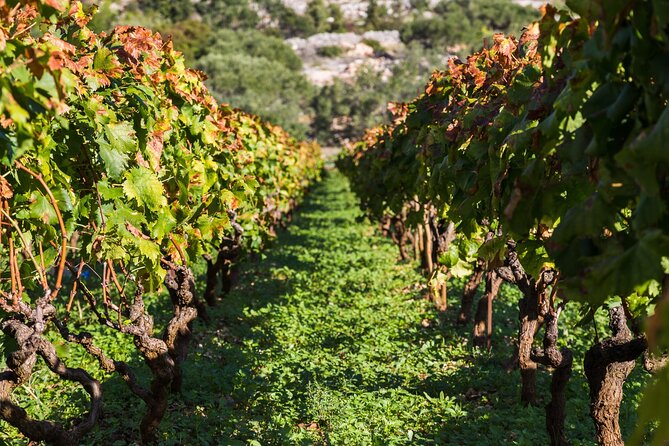 Private Tour: Ston and Peljesac Peninsula Day Trip with Wine Tasting - Dubrovnik to Ston, why this starts with a smooth ride