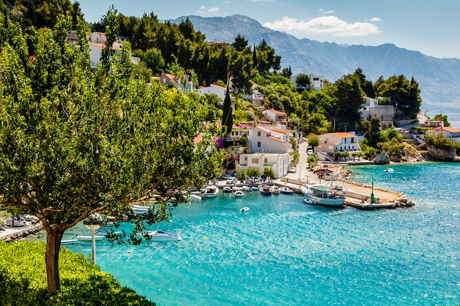 Private Transfer from Dubrovnik to Split with 2 hours for sightseeing - Your English driver: helpful local, not a licensed guide