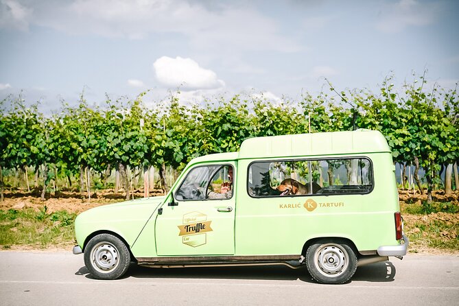 Private Truffle Hunting with Cooking Session - Paladini and Motovun Forest: how this 3-hour truffle hunt really plays