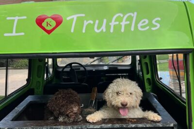 Private Truffle Hunting with Cooking Session