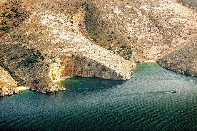 Private Wild Bays Boat Trip with Captain Bobo - What makes this good value, especially for small groups