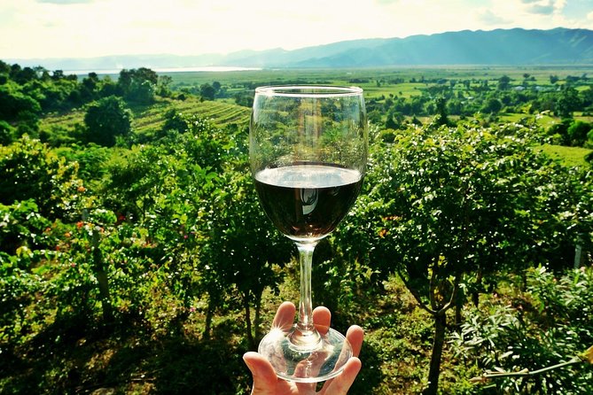 Private Wine Tour from Zagreb: Two Local Wineries & Samobor - Key Points to Know Before You Go