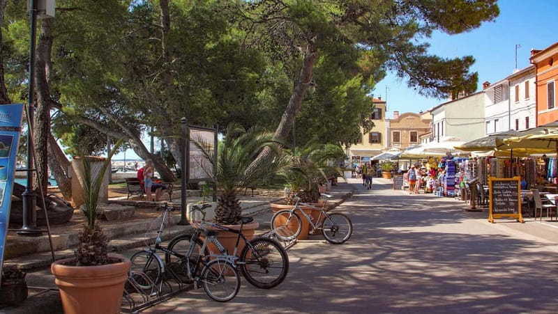 Pula: All-Inclusive Brijuni Boat Tour w Lunch, Drinks & Swim - Weather Changes and Day-of Reality on the Water