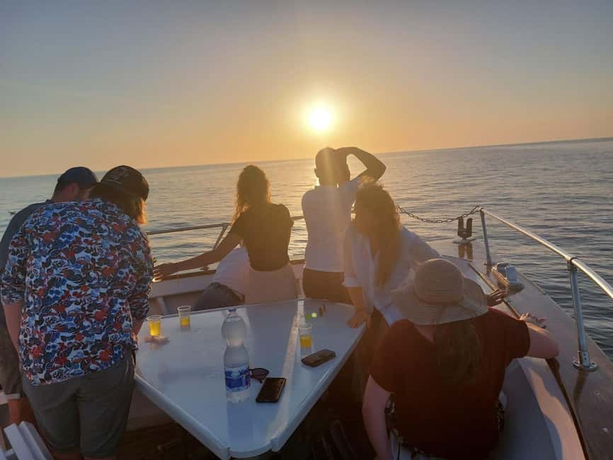 Pula: Brijuni Dolphins Sunset Cruise with Dinner and Drinks - Dolphin watching at dusk: how to get your best odds