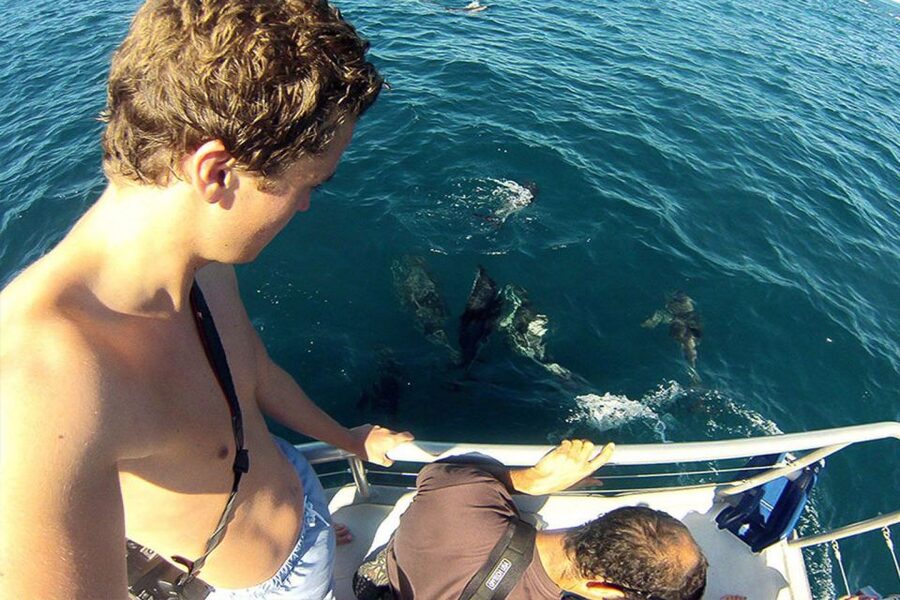 Pula: Brijuni Islands Dolphin Watching & Wildlife Cruise - Who this cruise is best for