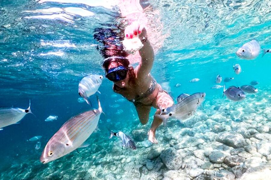 Pula: Brijuni National Park Tour with Island Visit - Unlimited drinks and onboard food: good value with one watch-out