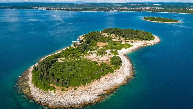 Pula: National Park Brijuni, 2 swimming stops, lunch, drinks - First swim stop from the boat: the jump-and-slide momentum