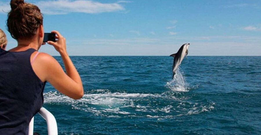 Pula: National Park Brijuni Island Visit & Dolphin Cruise - Pula to Brijuni in one smooth 5.5-hour plan