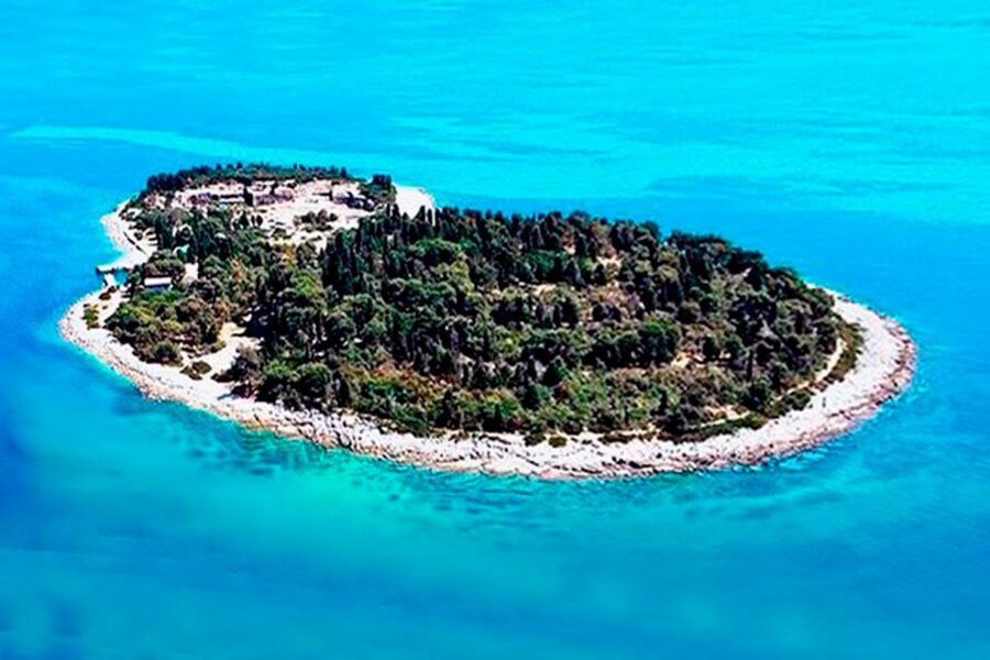 Pula: National Park Brijuni Island Visit & Dolphin Cruise - How dolphin watching works, and how to set expectations