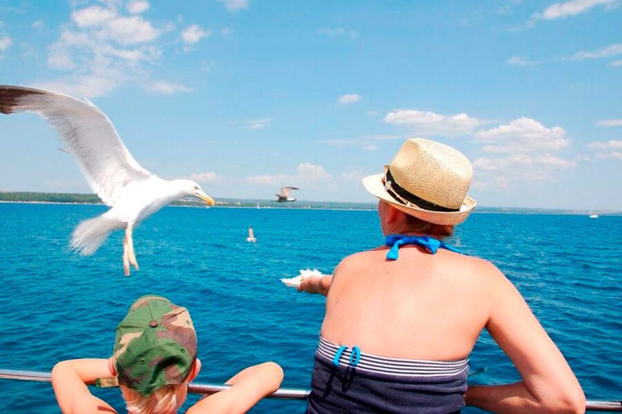 Pula: National Park Brijuni Island Visit & Dolphin Cruise - Returning to Pula harbor: night views and Pula Arena moments