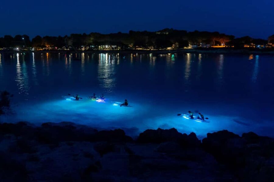 Pula: Night Kayak Tour with Glowing Kayaks - Key things to know before you go