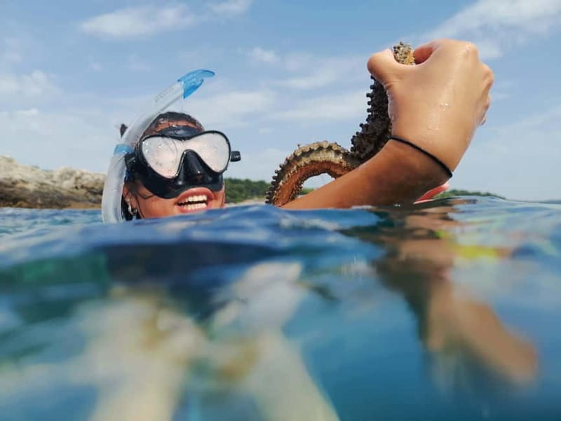Pula: Sea Adventure – Boat, Kayak, Snorkeling & Cliff Jumps - Hidden Beach Break: Snorkeling, Swimming, and Drinks in a Secluded Spot