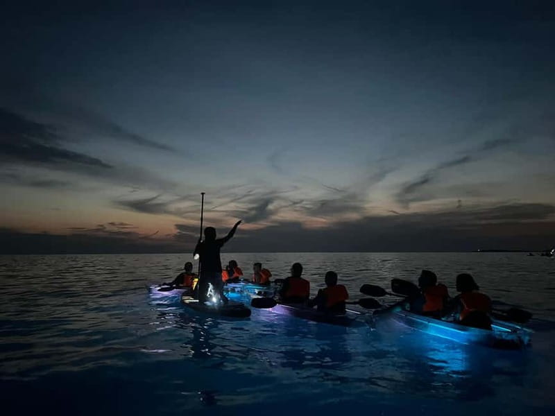 Pula: Sunset/Night Illuminated Transparent Kayak Tour - Why Pula’s Transparent LED Kayaks Feel Different at Night