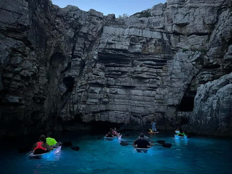 Pula: Sunset/Night Illuminated Transparent Kayak Tour - Wildlife Encounters: Fish, Jellyfish, and Staying Calm