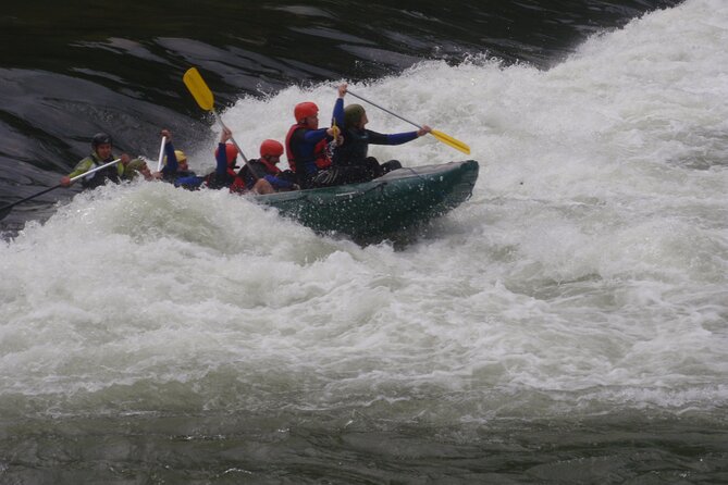 Rafting and Kayaking Adventure in River Kupa - What it’s like on the water: calm rapids and guided control
