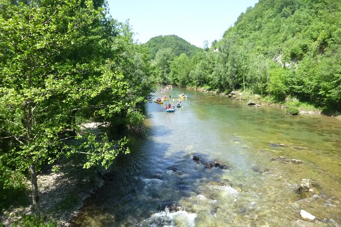 Rafting and Kayaking Adventure in River Kupa - Price and value: what $60.21 buys on the Kupa