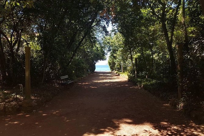 Rent a speed boat and explore beaches and coves of Elaphiti Islands - Captains make the difference, and the names you’ll hear