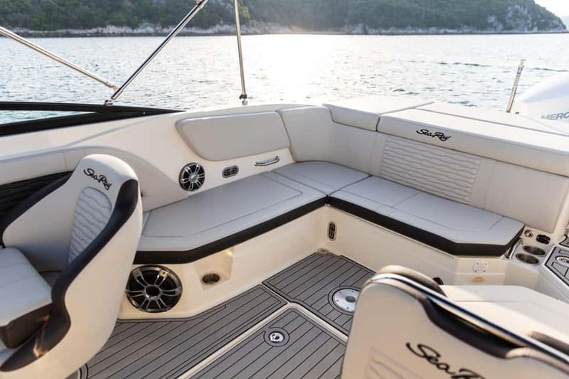 Rovinj: Dolphin Watching Sunset Speedboat Tour with Drinks - Who should book this, and who should skip it