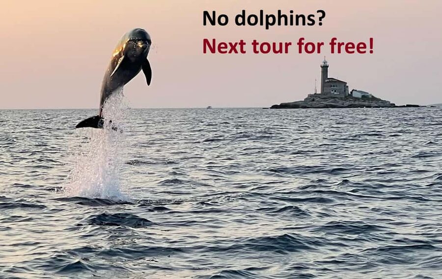 Rovinj: Dolphin Watching Sunset Speedboat Tour with Drinks - Getting to the water: easy pickup, but know where to stand