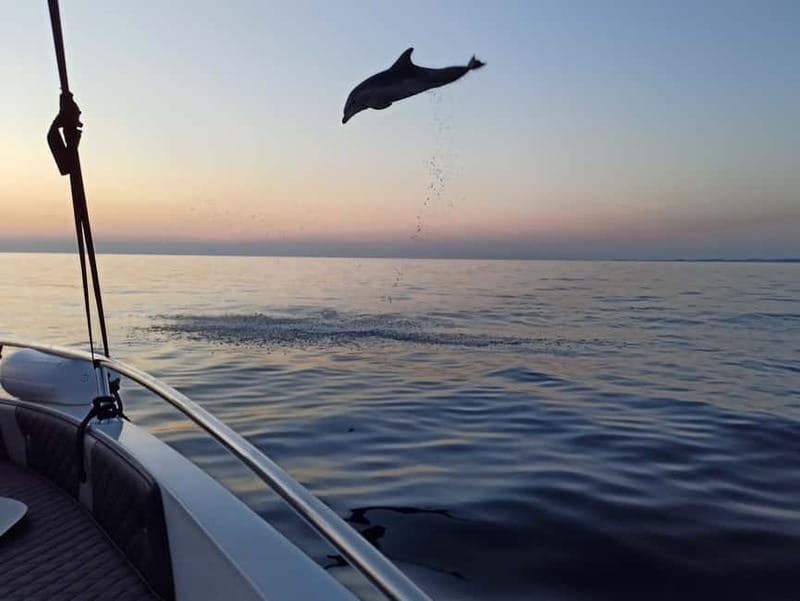 Rovinj: Dolphin Watching Sunset Speedboat Tour with Drinks - The speedboat segments: faster travel, more ocean air