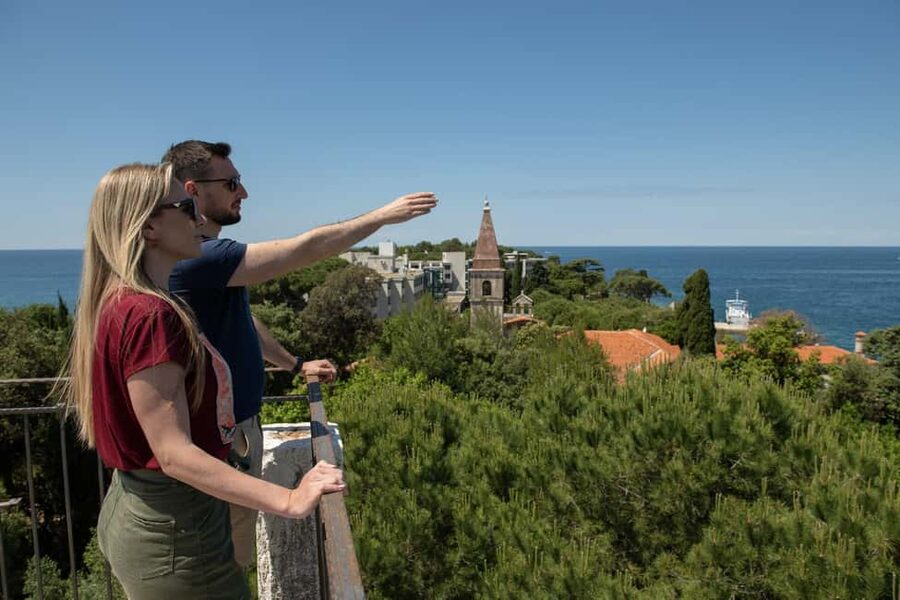 Rovinj: Luxury Island Hopping with Swimming & Snorkeling - Price and Value: Why $74 Works for This Type of Sea Day