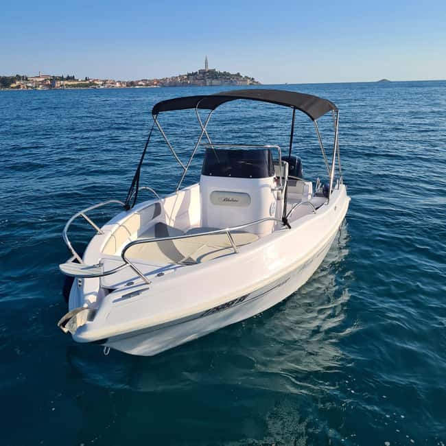 Rovinj: Shared Dolphin and Sunset Tour with Drinks - What to Bring (And What Not to Stress About)