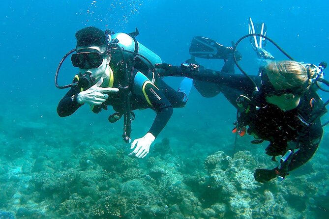 Scuba Diving for Beginners in Pula - Key Highlights You’ll Actually Care About