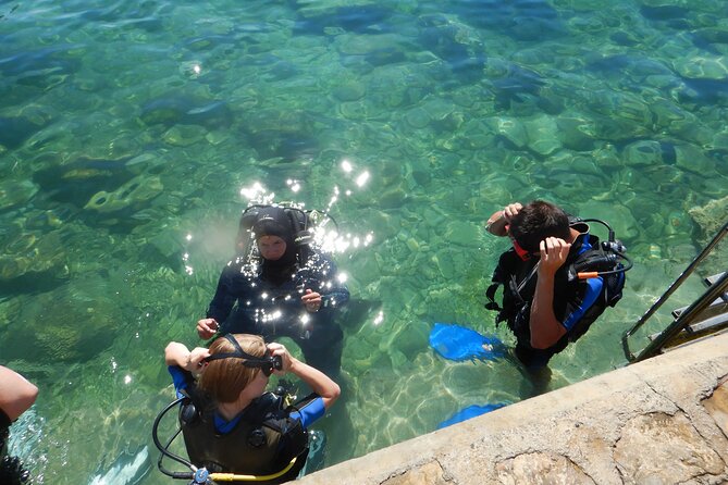 Scuba Diving for Beginners in Pula - Orca Centre and the Meeting Point, Smooth Start