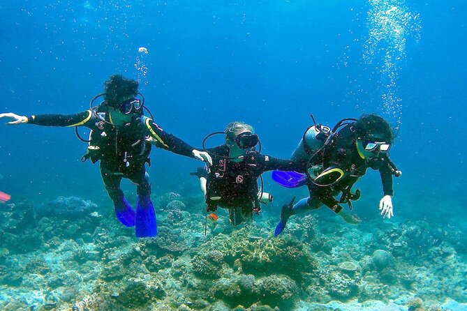 Scuba Diving for Beginners in Pula - Small Groups and Instructors Who Keep You Calm