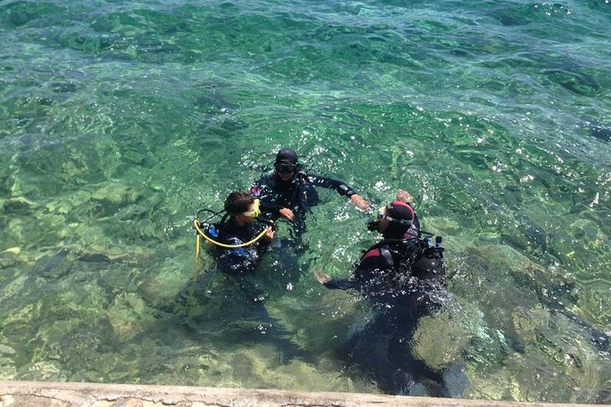 Scuba Diving for Beginners in Pula - Price and Value in Pula: Is $102 Worth It?