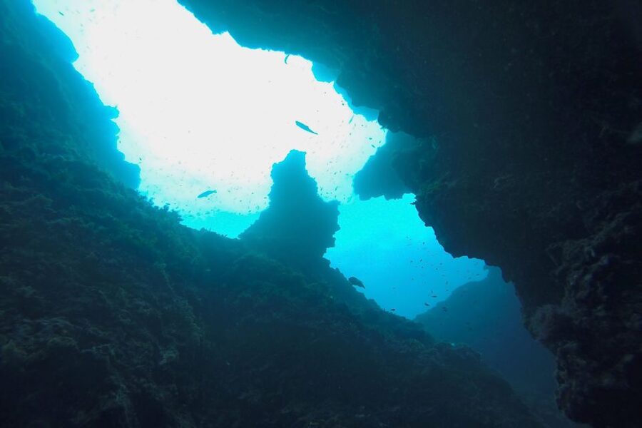 Scuba Diving in Dubrovnik: 1 Dive for Certified Divers - Key Highlights You’ll Care About
