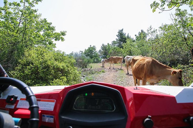 Self-drive Off Road Buggy - Who should book this buggy adventure (and who should skip it)