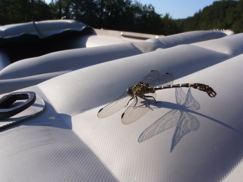 Severin na Kupi: Canoeing and Kayaking on the Kupa River - Who should join, and who should skip it