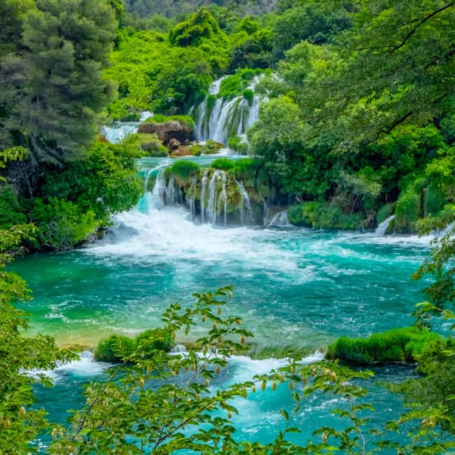 Šibenik or Zadar: Krka falls, olive mill, oil & wine tasting - Olive grove walk: where the flavor story starts