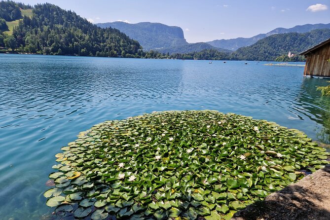 Slovenia's highlights: Bled lake and Ljubljana Full-Day Private Tour from Zagreb - How the day stays flexible, and where it can feel long