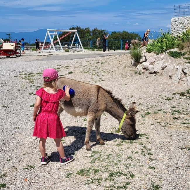 Šmrika (near Rijeka/Krk/Crikvenica) Donkey Farm Family Fun - Key Highlights at Šmrika Donkey Farm Family Fun