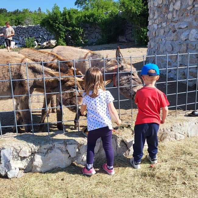 Šmrika (near Rijeka/Krk/Crikvenica) Donkey Farm Family Fun - Donkey Milk and the Conservation Story You Can Actually Understand